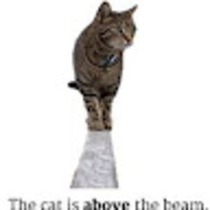 Meet your Posher, George